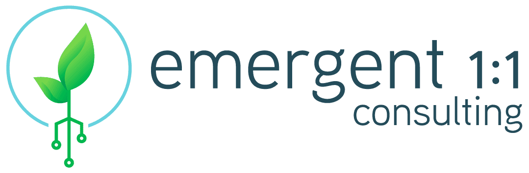 Emergent 1:1 Consulting