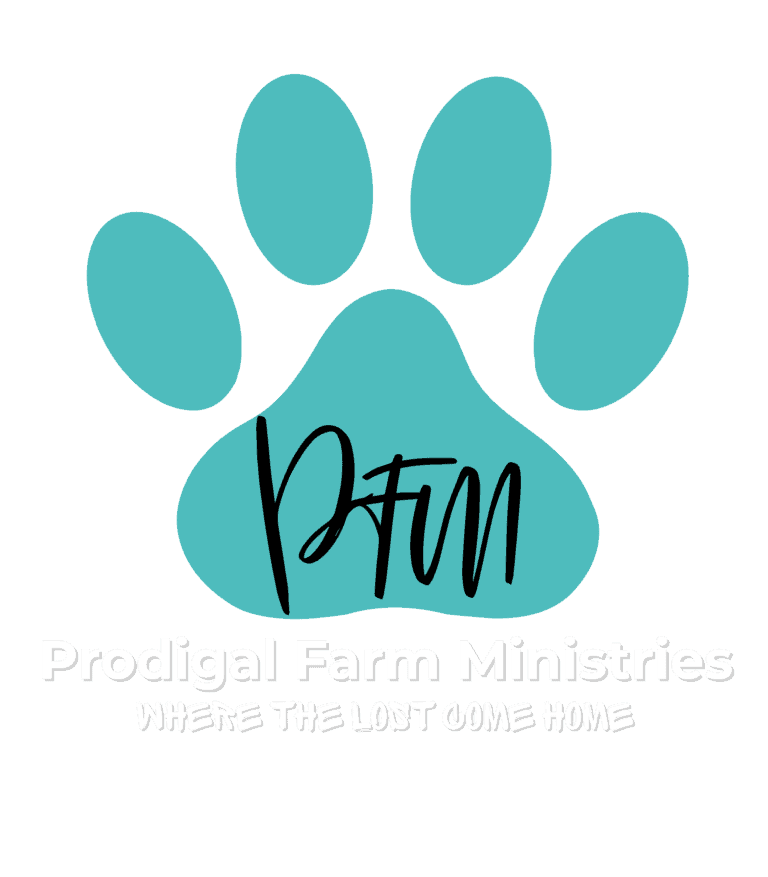Prodigal Farm Ministries Inc